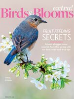 Birds and Blooms Extra